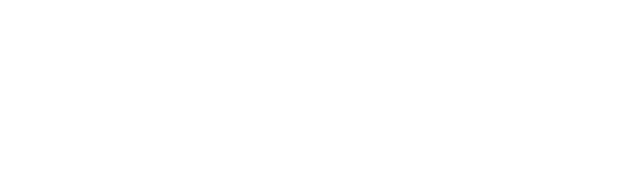 Alitis Asset Management